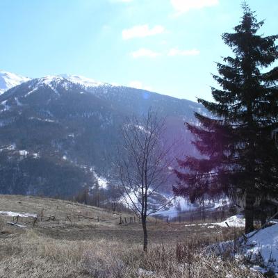 Rustico da ristrutturare